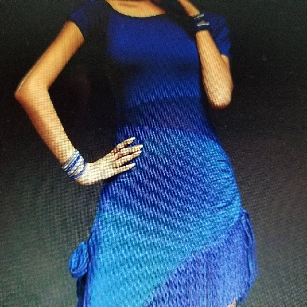 1920's Fringed Latin Dance Dress